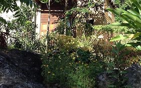 Rafjam Bed & Breakfast
