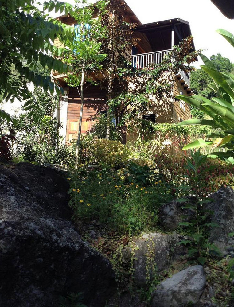 Rafjam Bed & Breakfast Newcastle Exterior photo